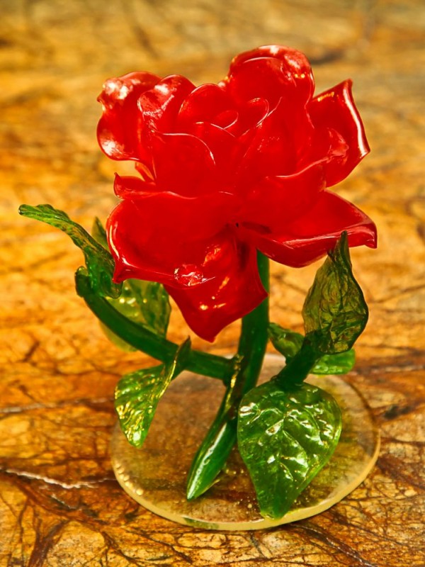Роза на рассвете прозрачная
